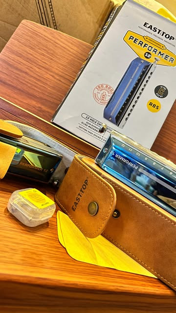 ساز دهنی هارمونیکا east top